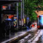 Environmental Management in Rail Construction